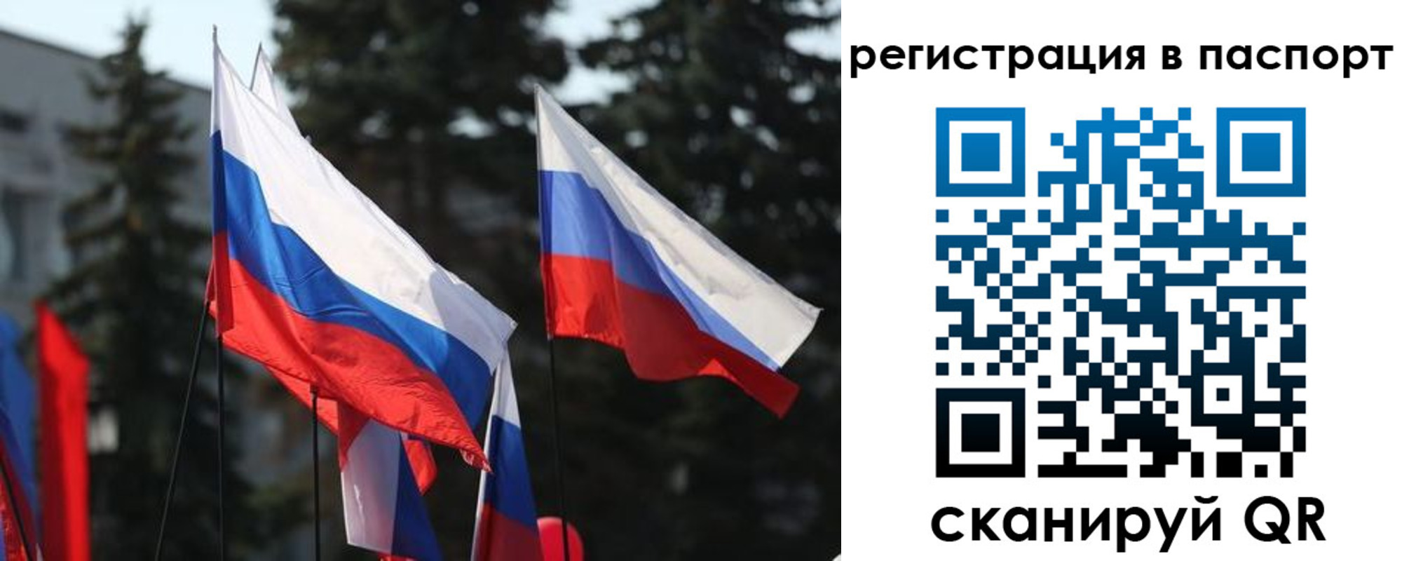 прописка штамп в Ногинске